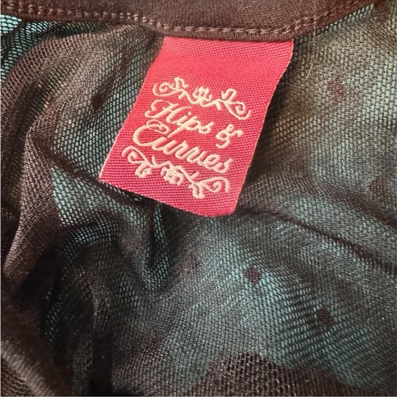 Hips & Curves Sheer Mesh Long Sleeve Bodycon Tunic Dress – Size 3X - Picture 7 of 9